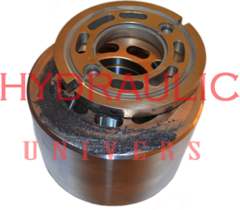 reparatiI hidromotor BMV186